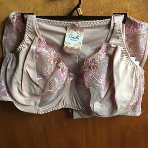 NWT Ornella Bra And Panty Set